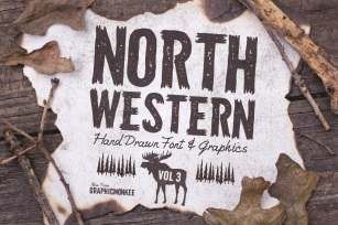 North Western + Vectors Vol 3 Font Download