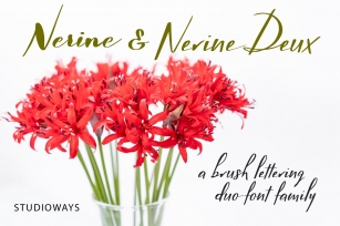 Nerine Duo Family Font Download