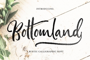 Bottomland • Ink Script Font Download