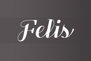 Felis Script Font Download
