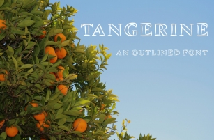 Tangerine, Outlined Font Download