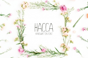 Hacca Handwritten Sans Serif Font Download