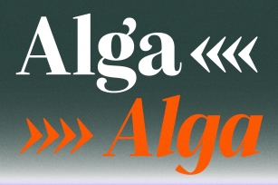 Alga Font Download