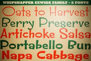 Whipsnapper Extra Wide Family Font Download