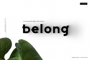 Belong Logo and Heading Family Font Download