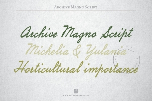 Archive Magno Script Font Download