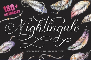 Nightingale script  bonus clip arts Font Download
