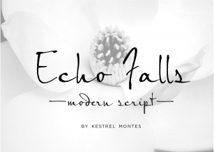 Echo Falls Modern Script Font Download