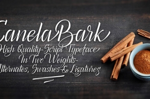 Canela Bark Font Download