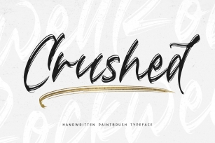 Crushed // Paintbrush Typeface Font Download