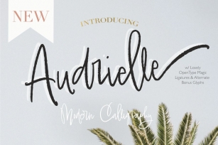 Audrielle Intro SALE!!! Font Download