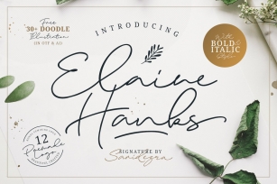 Elaine Hanks (+Feminine Logo Pack) Font Download