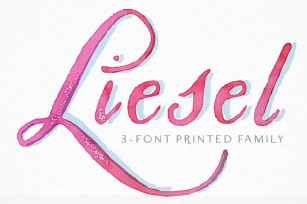 Liesel Printed Family Font Download