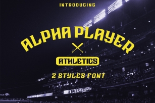 ALPHA PLAYER 2 styles font Font Download