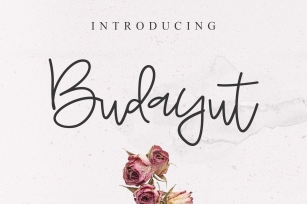 Budayut Signature  Font Download
