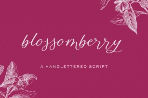Blossomberry Script Font Download