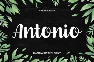 Antonio Script Font Download