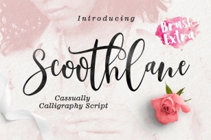 Scoothlane Script  Brush Font Download