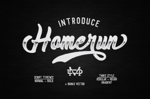 Homerun Family Typeface Font Download