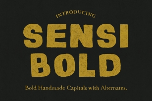 Sensi Bold Handmade Font Download