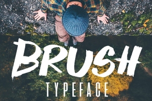 Brush Typeface Font Download