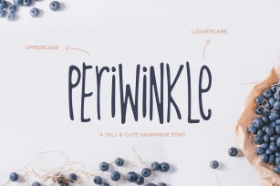 Periwinkle Typeface Font Download