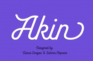 Akin — 75% Off Font Download