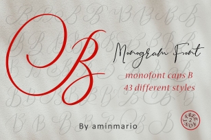 MONOGRAM B Font Download