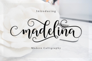 Madelina Font Download