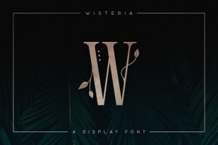 Wisteria • Display Font Download