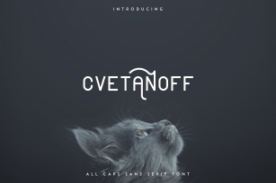 Cvetanoff Sans Serif font -30% Font Download