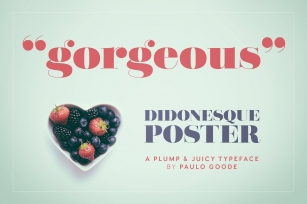 Didonesque Poster Duo Font Download