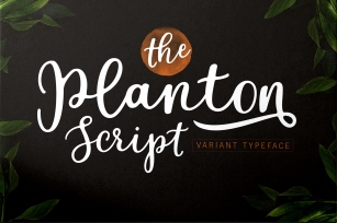 Planton Script Font Download