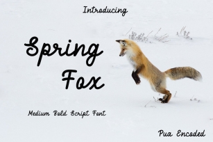 Spring Fox Script Font Download