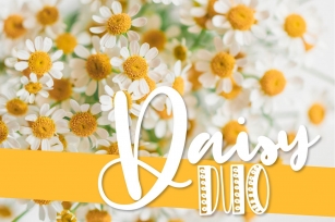 Daisy Duo Font Download