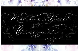 Madison Street Pro + Ornaments Font Download