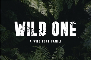 Wild One Font Download