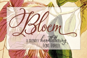Bloem Script  Sans Font Download