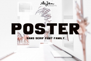 POSTER Sans Serif Family Font Download