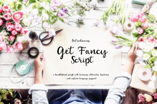 Get Fancy Script Font Download
