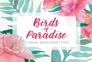 Birds of Paradise Brush Script Font Download