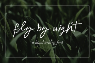 Fly By Night Font Download