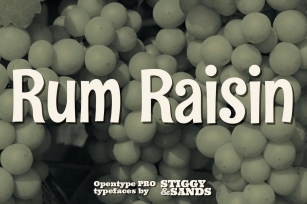 Rum Raisin Pro Font Download