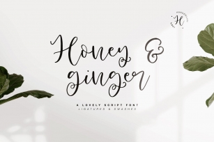 Honey  Ginger Font Download