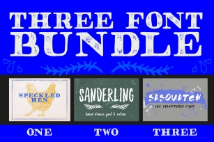 THREE FONT BUNDLE  extras Font Download