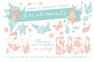 Siri Floral Elements Font Download