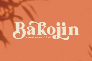 Bakojin//Modern Serif Font Download