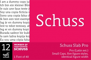 SchussSlabPro No.12 (1) Font Download