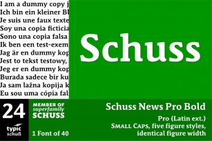 SchussNewsProBold No.24 (1) Font Download