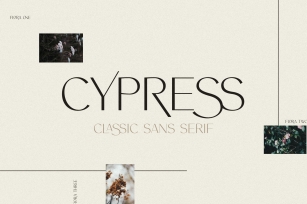 Cypress Font Download